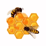 Miel de Abeja